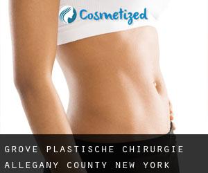 Grove plastische chirurgie (Allegany County, New York)