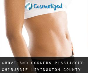 Groveland Corners plastische chirurgie (Livingston County, New York)