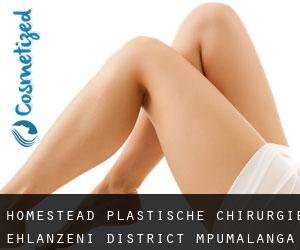 Homestead plastische chirurgie (Ehlanzeni District, Mpumalanga)