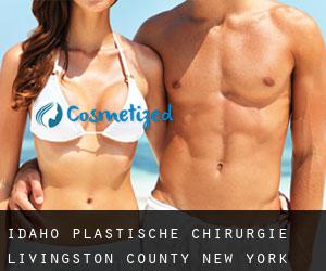 Idaho plastische chirurgie (Livingston County, New York)