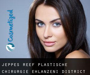 Jeppe's Reef plastische chirurgie (Ehlanzeni District, Mpumalanga)