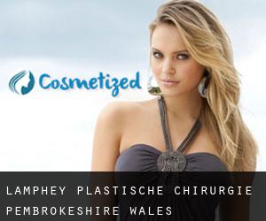 Lamphey plastische chirurgie (Pembrokeshire, Wales)