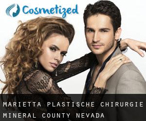Marietta plastische chirurgie (Mineral County, Nevada)