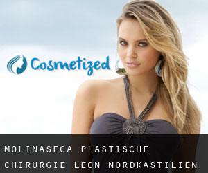 Molinaseca plastische chirurgie (León, Nordkastilien)