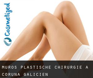 Muros plastische chirurgie (A Coruña, Galicien)