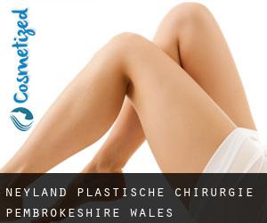 Neyland plastische chirurgie (Pembrokeshire, Wales)