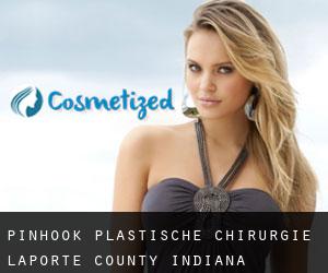 Pinhook plastische chirurgie (LaPorte County, Indiana)