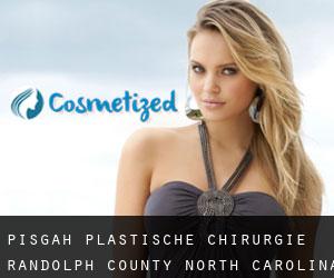 Pisgah plastische chirurgie (Randolph County, North Carolina)