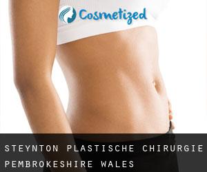 Steynton plastische chirurgie (Pembrokeshire, Wales)