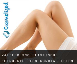 Valdefresno plastische chirurgie (León, Nordkastilien)