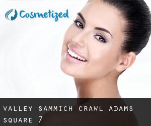 Valley Sammich Crawl (Adams Square) #7