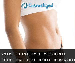 Ymare plastische chirurgie (Seine-Maritime, Haute-Normandie)